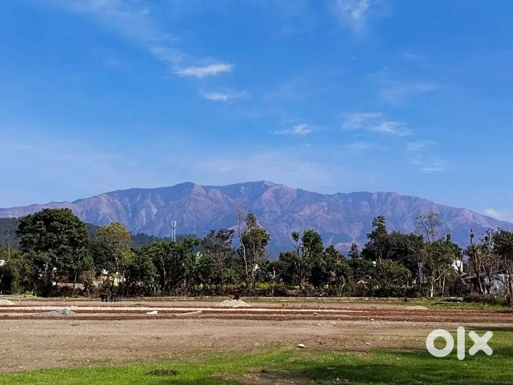 Residential Property