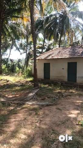 4.25 Acer coconut farm with house bore well  open well 100 mtr road