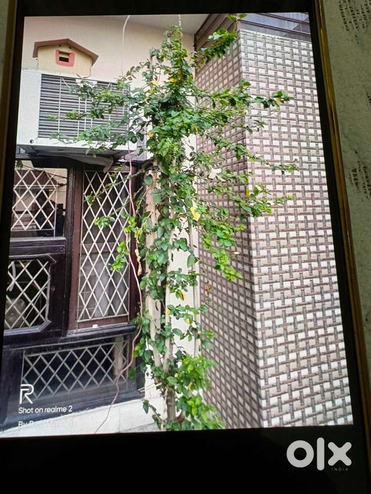 Ground floor and first floor 4 bhk and 3 bhk two bathroom each for ren