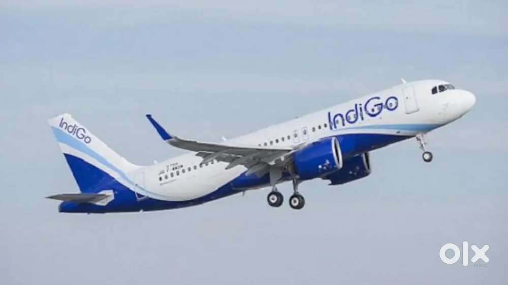 INDIGO JOBS NEW HIRING APPLY NOW. Indigo Airlines Job Opened @ CCE ,