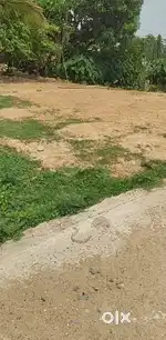 Sarganwa engeneering college ke pas 5 dismil ka plot bechna hai