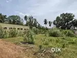 East facing kadiyam
