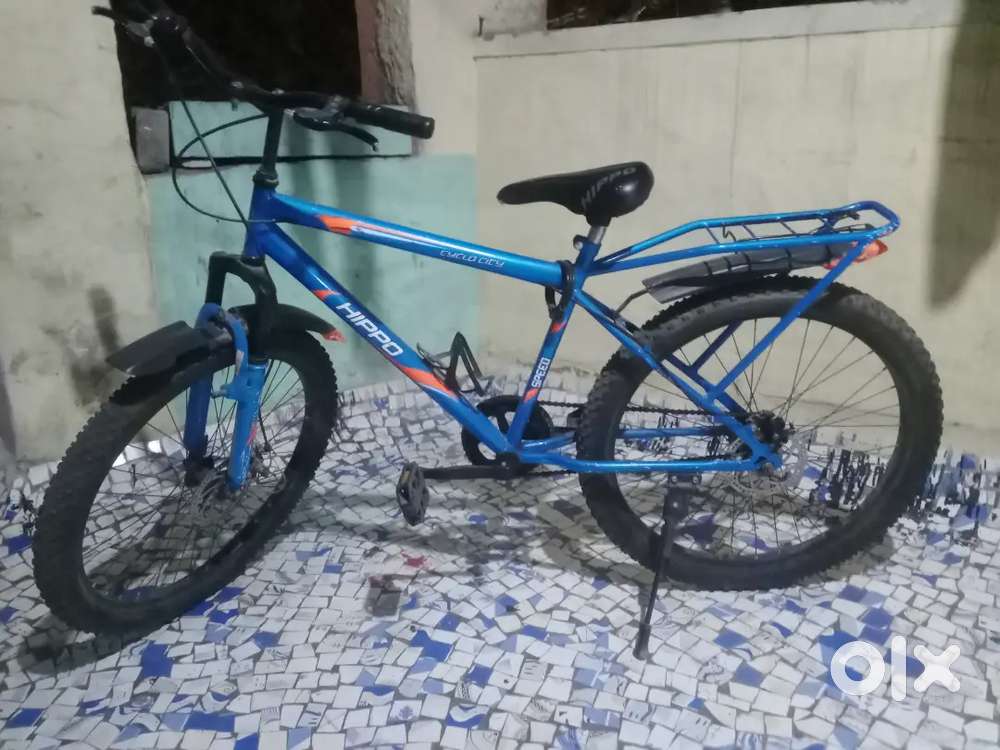 The Path to Freedom: Your Two-Wheeled Companion for Health and Adv