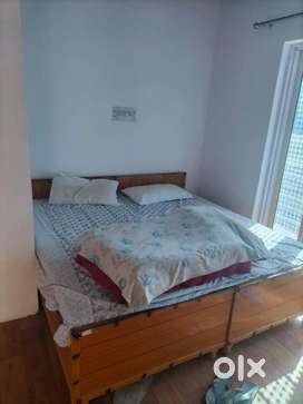 4bhk cottage with 4.8 bigha land for sale