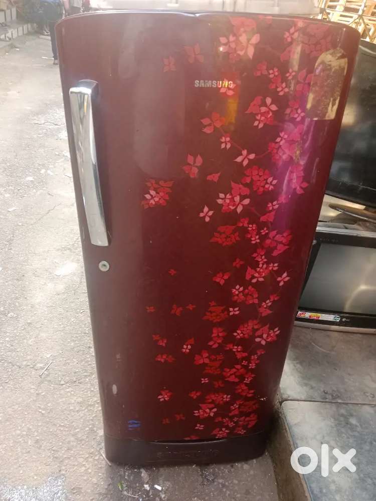 Samsung 200 Ltr tapan glass flower print dor
