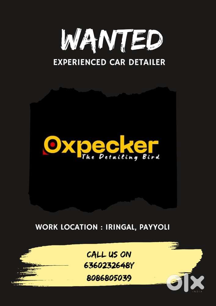 Experienced Car Detailer