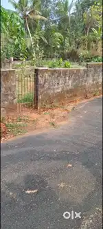 8 cent house plot near Ettumanoor Thavalakuzhy 700 mtr to bypass 4lak