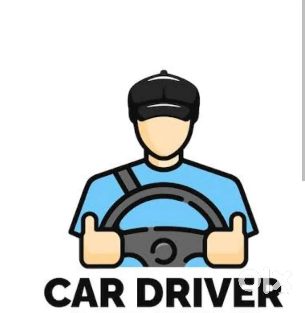 Car driver daily wages