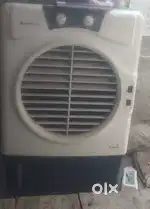 Cooler cooler