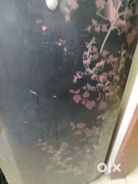 Fridge  double door