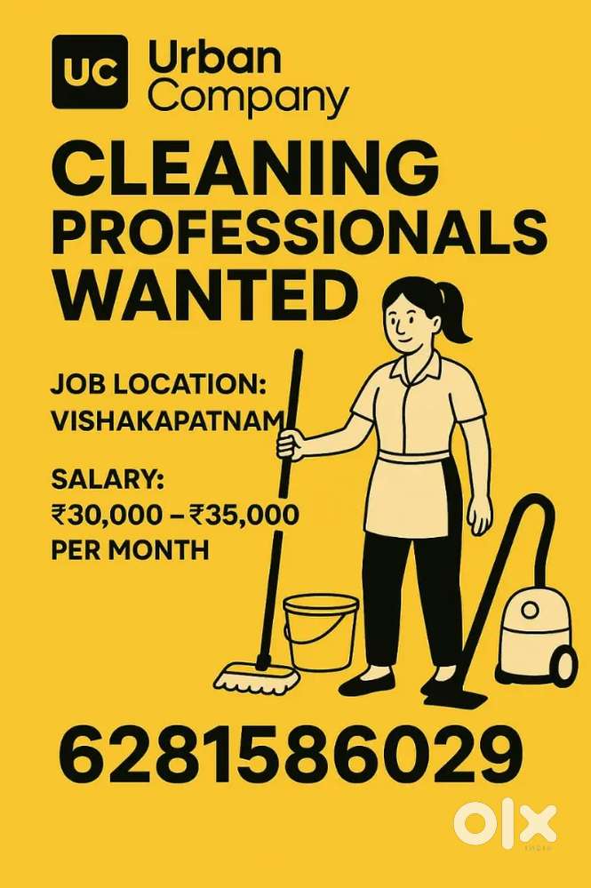 Cleaning professionals