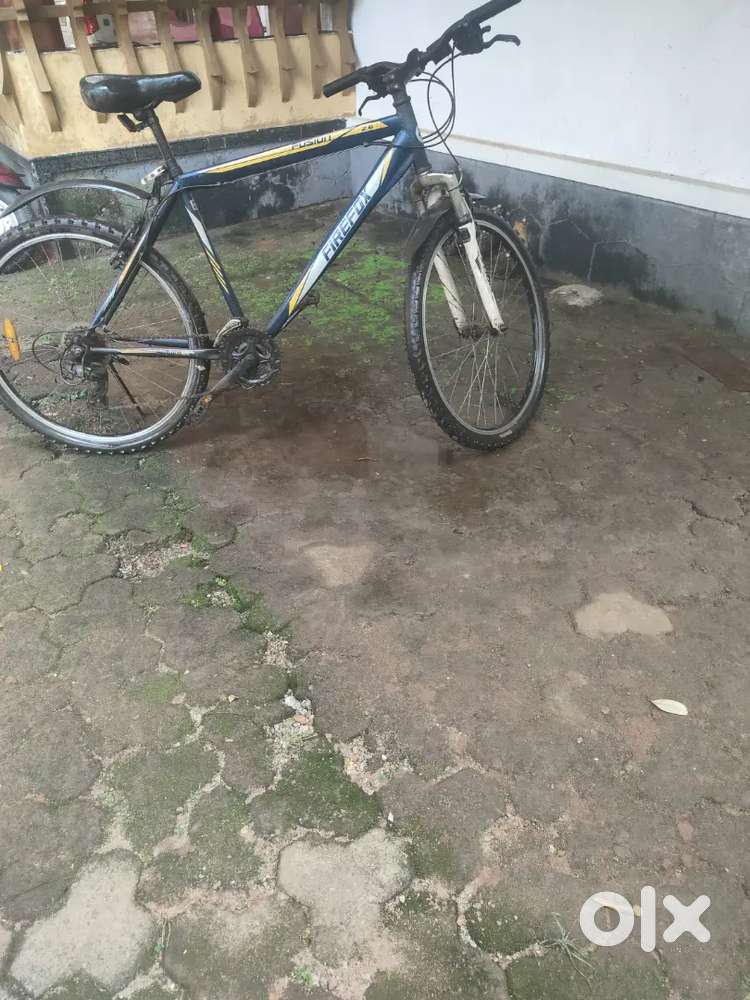 Shift gears for better days