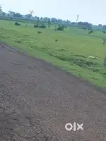 Narayankhed/5Guntas land just 5.5 lakhs only/ Hurry up!!!