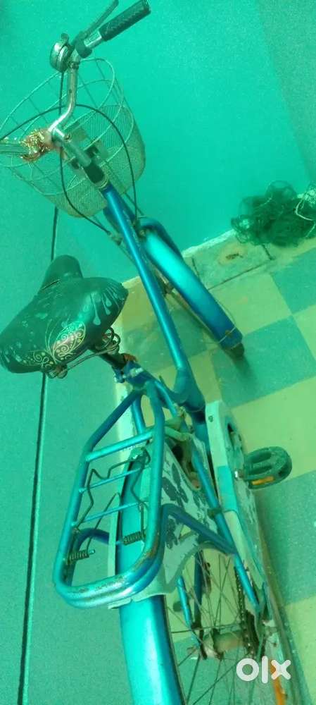 Miss india cycle