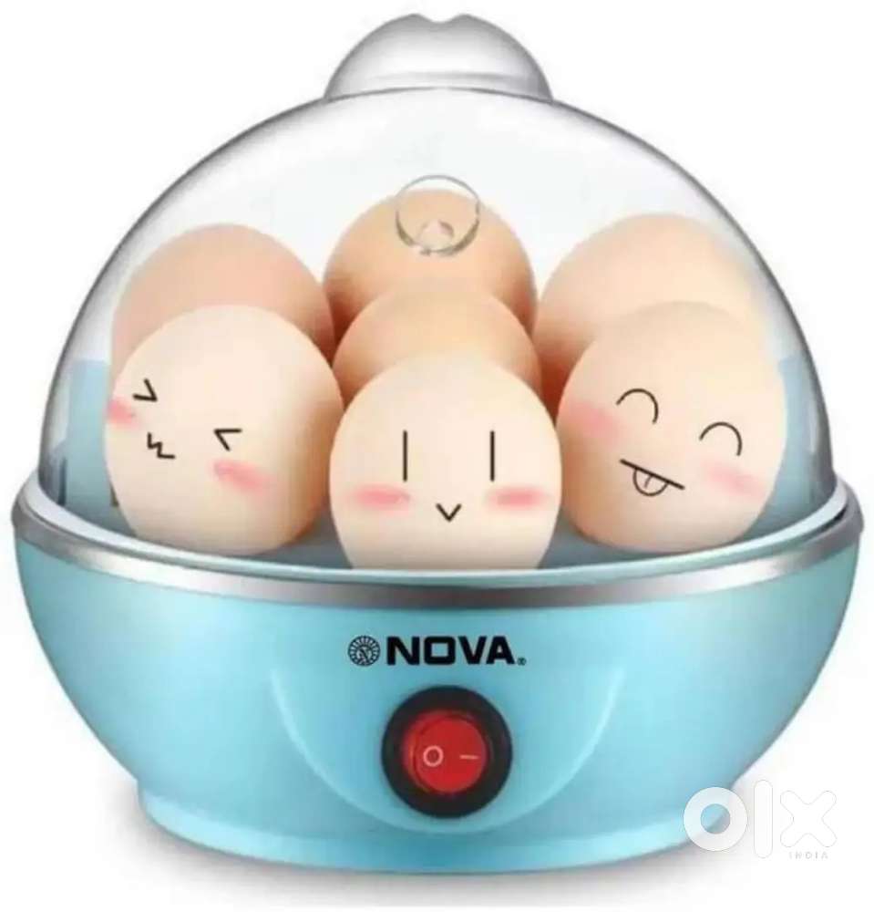 Motte ( egg) cute cokker