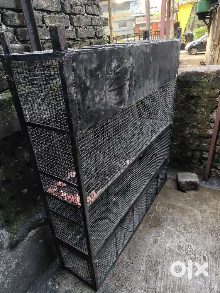 four step store cabin