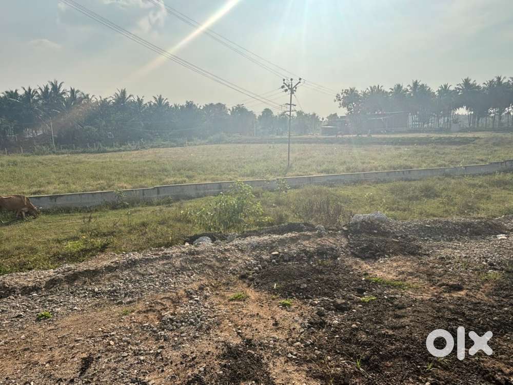 Aachipatti Land for rental purpose on New bypass