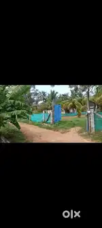 3 Acers Agri Land