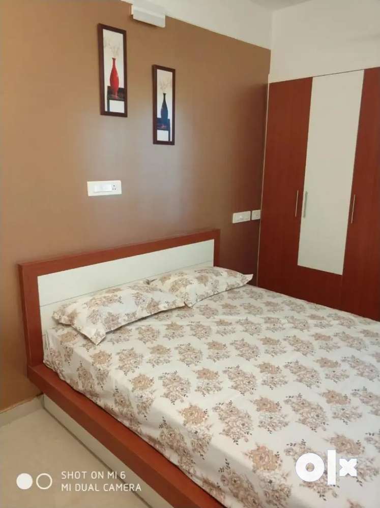2bhk new posh furnished Appartment in Carithas Kottayam