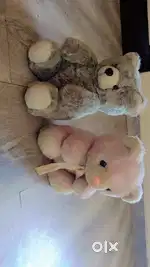 Pink and grey teddy bear buy 1 get 1 free limit time offer
