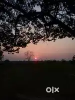 3.5 bigha myadi Land with fishery sell