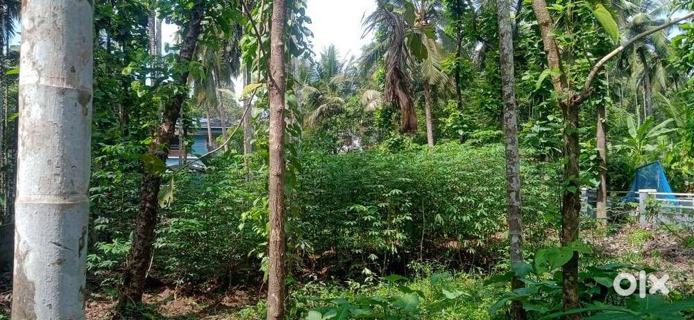 Square plot for house construction