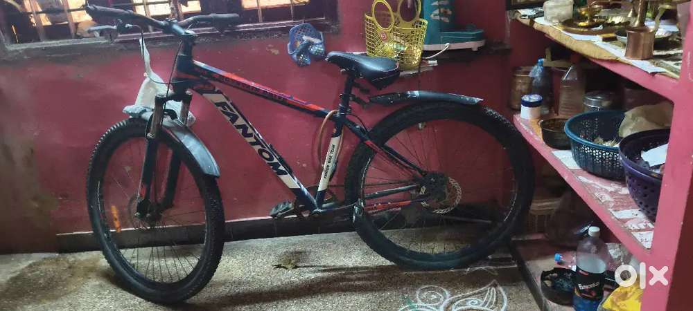 Cycle name fantom size:29