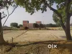 Ghar Banane ke Liye Best Plot – 1 Biswa Zameen in Hafizpur, Azamgarh