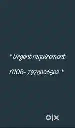 Field  officer