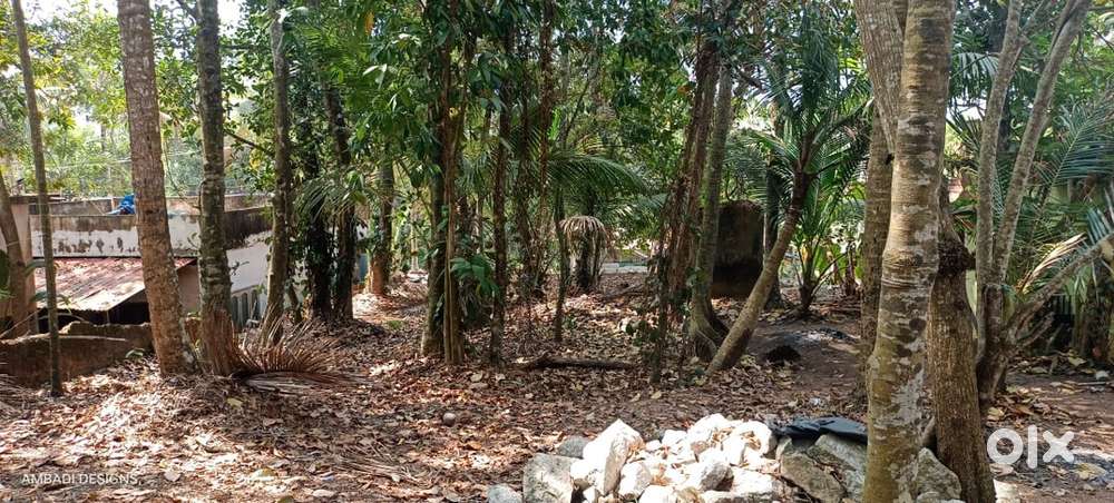 Thonnakkal residential dry house plot