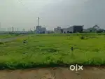 Immediately plot for sell bilhari mandla road jabalpur