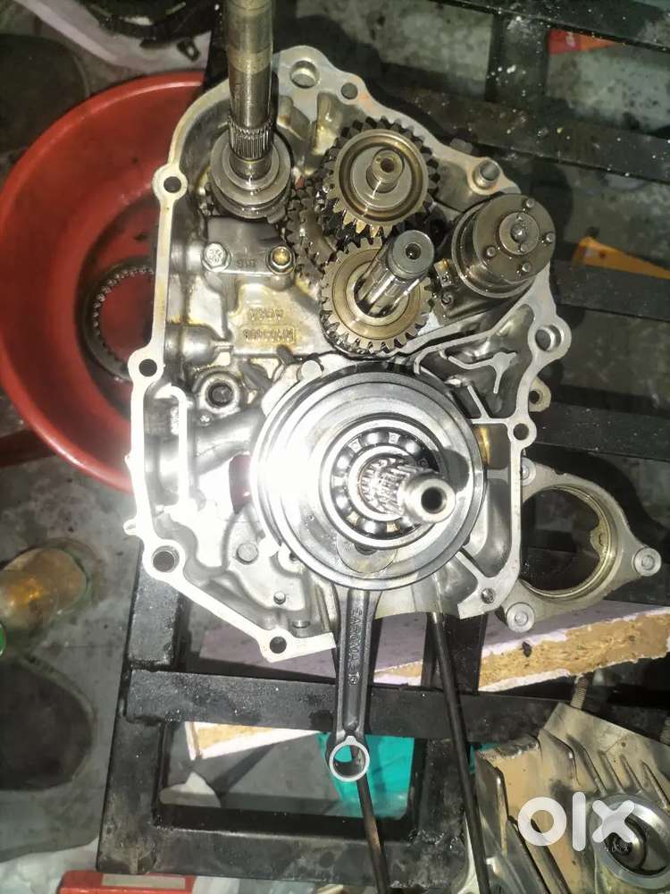 Needed Bike Mechanic