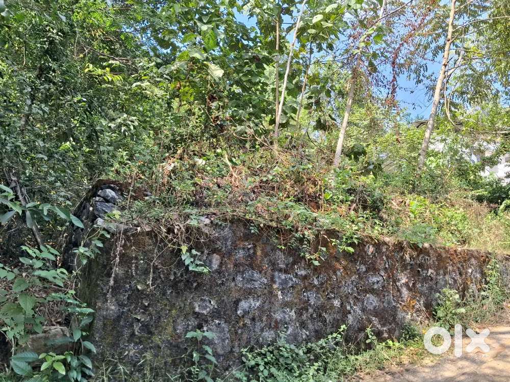 Good house plot 6.12cent 1cent 250000