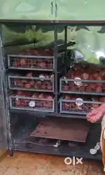Copra dryer machine