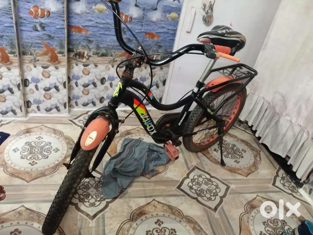 New Condition cycle ( I use only 1 year)