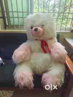 hair teddy bear good condition