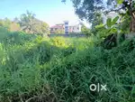 Kundanoor 8 cent plot for sale