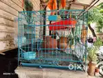 Puppy cage
