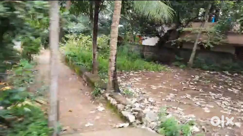 Kuzhithurai court near