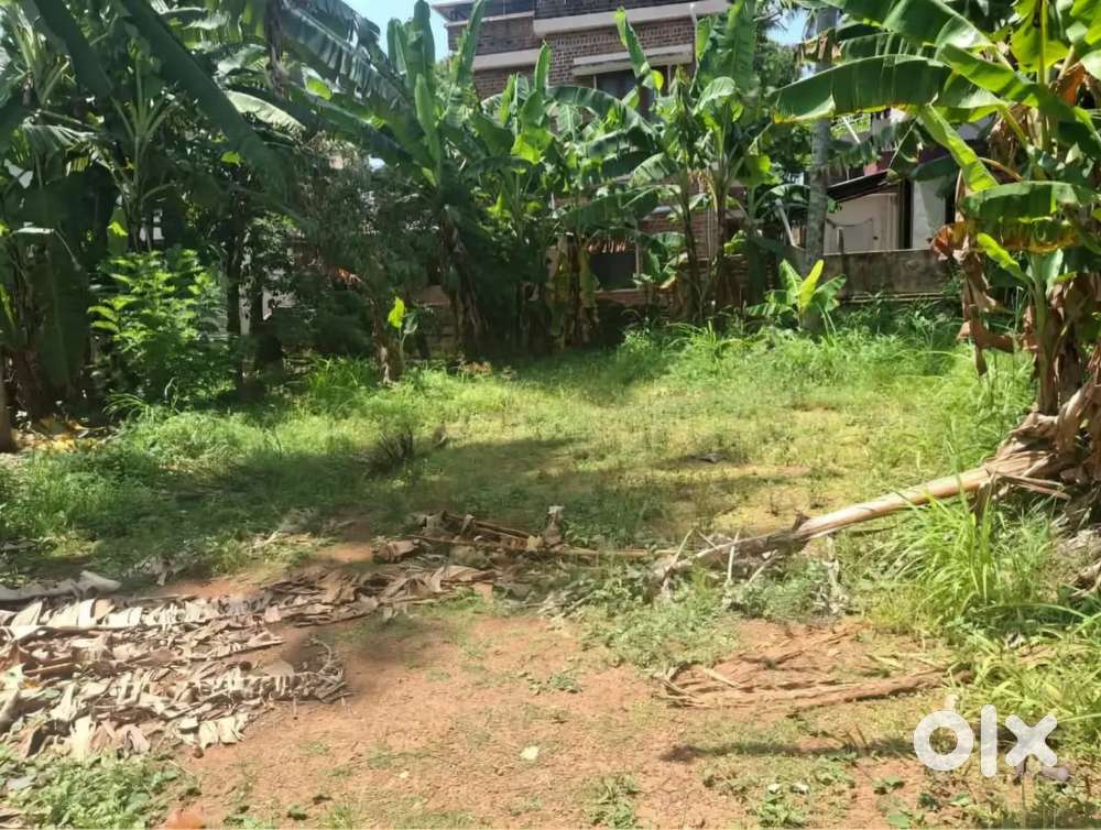 PLOT FOR SALE IN CHANTHAVILA KAZHAKUTTOM
