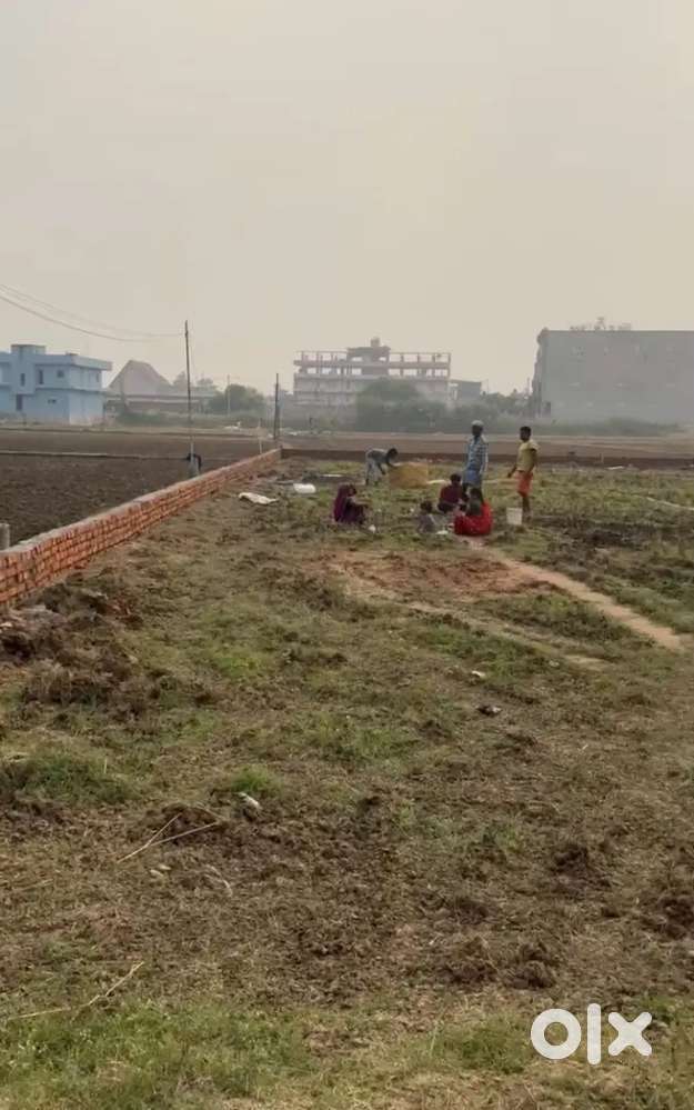 Highway touched plots