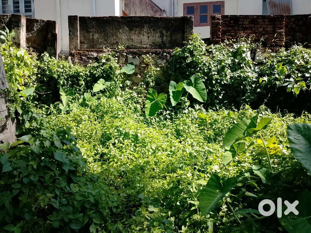 Near Vazhuthacaud 4.250 Cent Karabhumi Per Cent 17 Lakhs Car Way