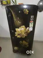 Lg 200 ltr