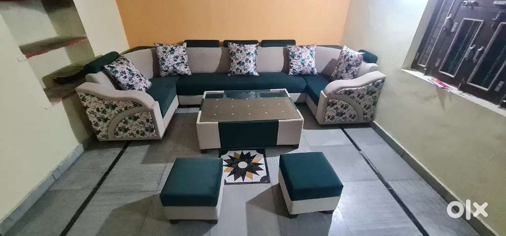 2 महीना पुराना