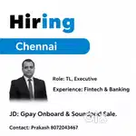 Team leader and Sales executive Role in Gpay