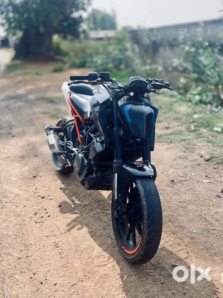 Duke 250 Bs4 2019