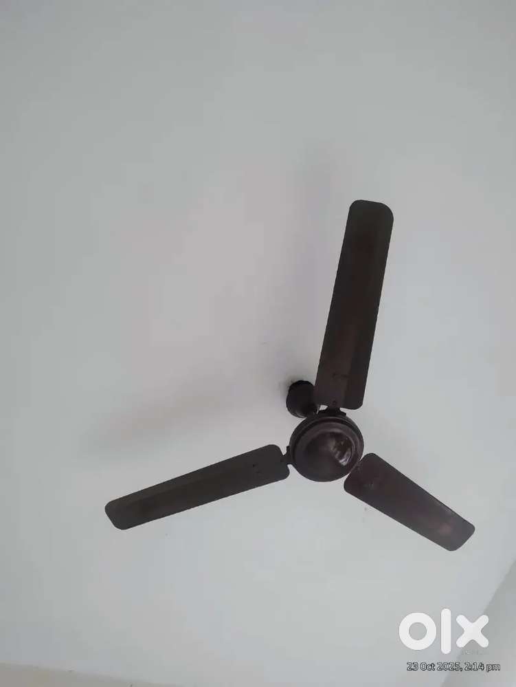 8 months old Ceiling fan