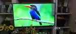 Sony 55 Google TV