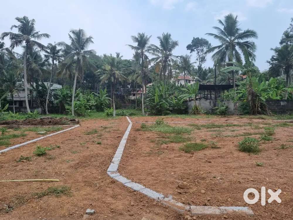 Residential plot for sale near sreekaryam(