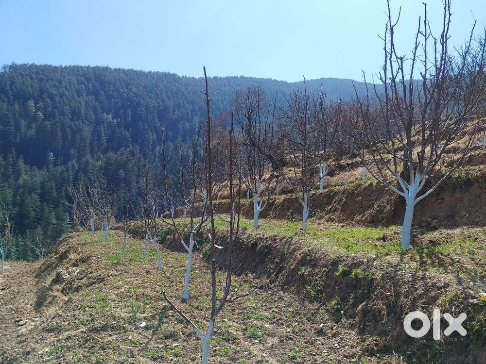 Land for sale near fagu distance from fagu 13 km driven